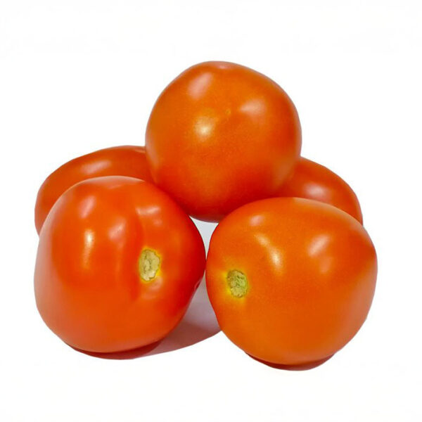 Tomate Chonto