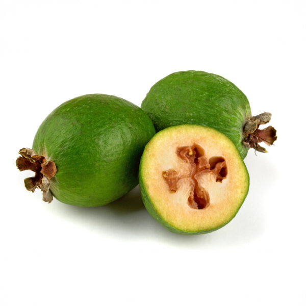 Feijoa